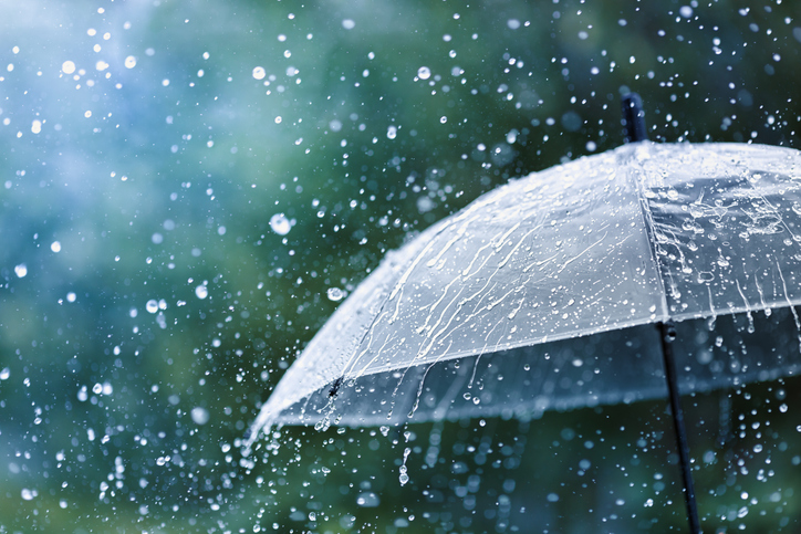rainy umbrella